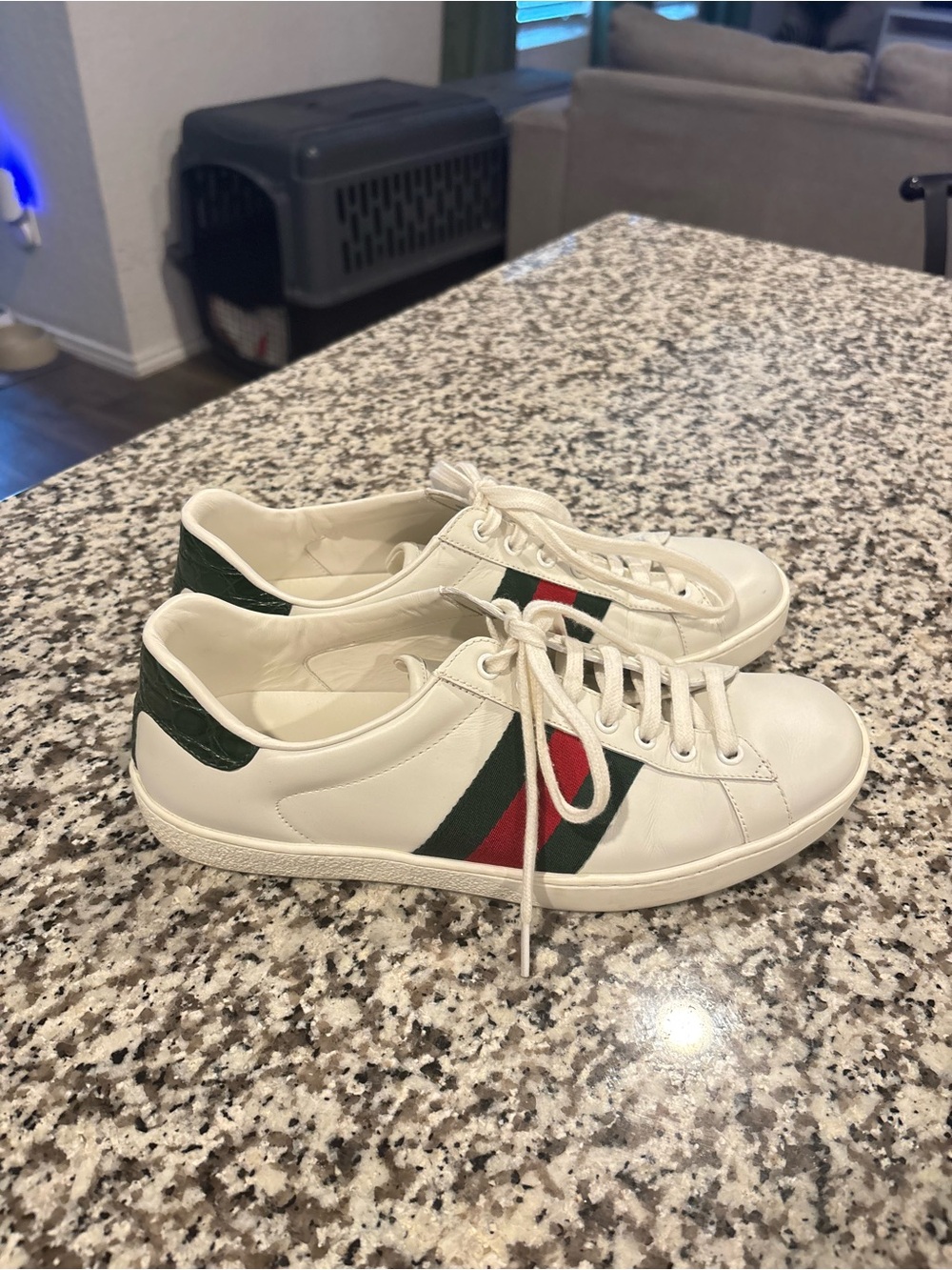 Gucci White Leather Sneakers | White | 7